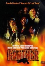 Смотреть Panther онлайн бесплатно. Panther poster