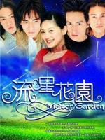 Meteor Garden poster
