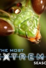 Watch The Most Extreme online free.
